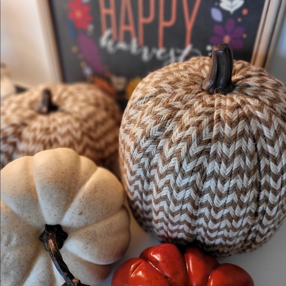 Pumpkin, Large, Threshold Textured Braiding